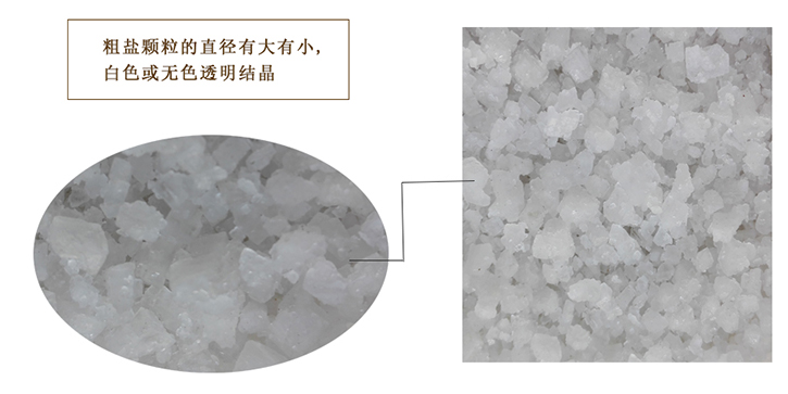 粗鹽(yan)詳情